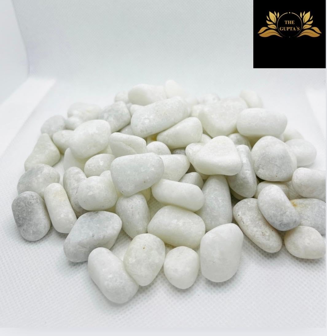 THE GUPTAS Unpolished White Pebble Stone 1Kg, Small (Irregular Size & Shape) for Aquarium/Fish Tank, Garden, Swimming Pool, Pots, Home, Garden, and Lawn Decorative Pebbles/Marble (1 kg) Packing (B0D8W5HV7B) Amazon Price History, Amazon Price Tracker