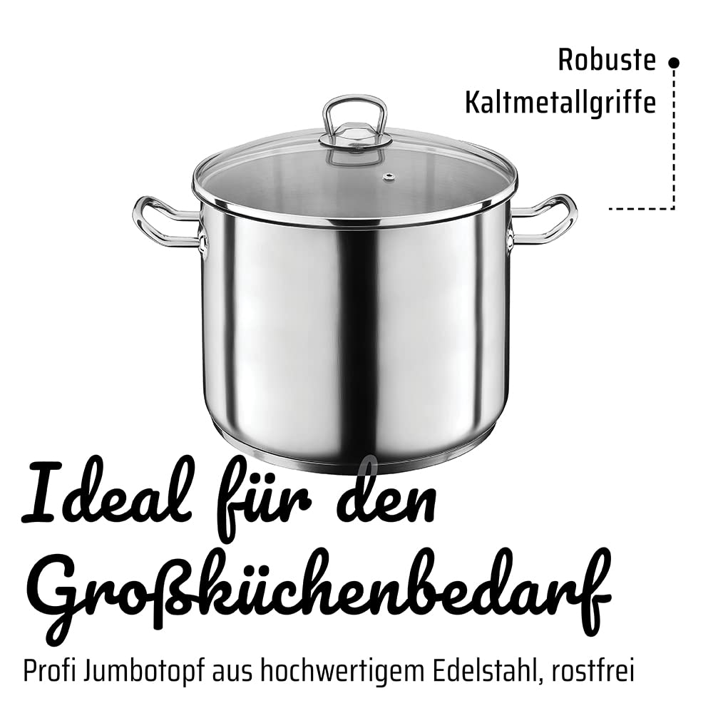 GSW 643437 Profi – Pentola con coperchio in vetro, 15 litri, Acciaio inox, Colore Argento, Diametro 28 cm