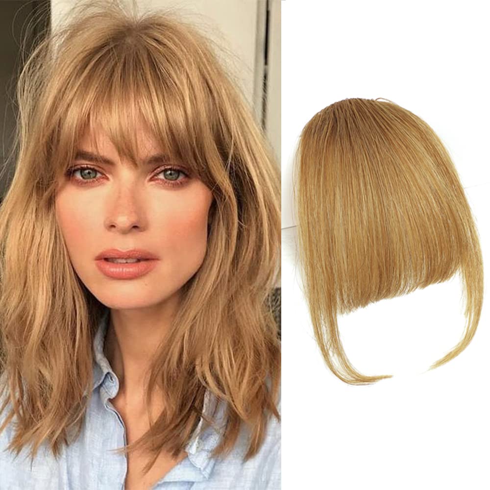 LE SECRET Clip in Bangs Real Human Hair Wispy Bangs Hair