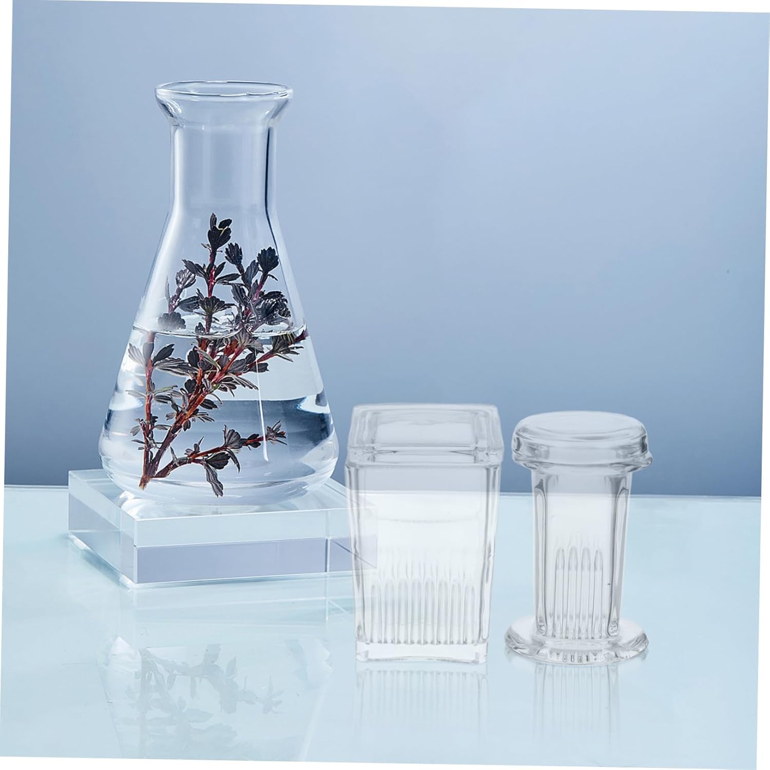 PRETYZOOM 2pcs Laboratory Glass Staining Jar Tanks Slide Slide Jars Microscope Container Secure Stable Versatile