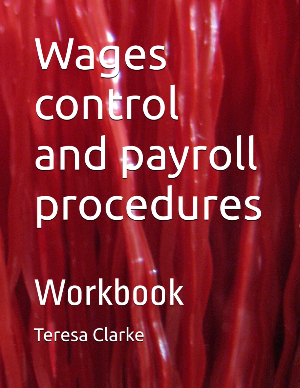 Wages control and payroll procedures: workbook (Accountancy Revision Workbooks)
