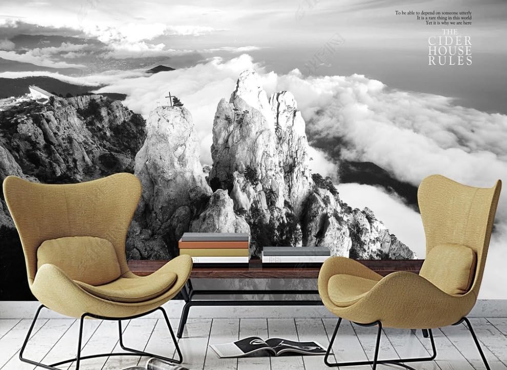 Papier peint intissé paysage de montagne noir et blanc grand format poster mural salon chambre