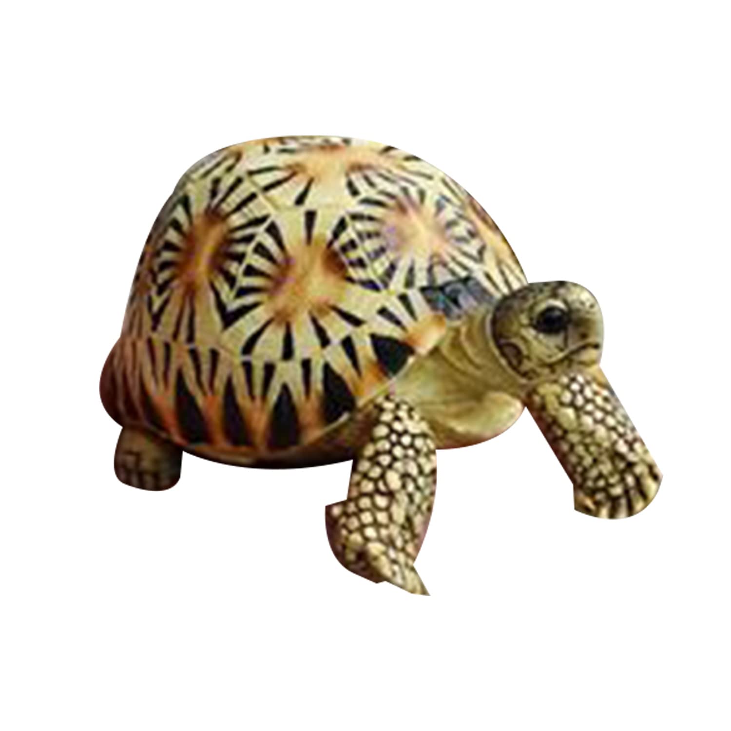 亀 置物 ガーデンオーナメント 置物 カメ リアル 置き物 亀 かわいい