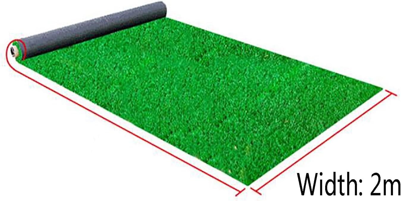 Artificial Grass Carpet 30mm Spring Grass Thickened Dense Realistic Luxury Pet Lawn Garden Lawn - Great for Indoor/Outdoor (1 * 1m)