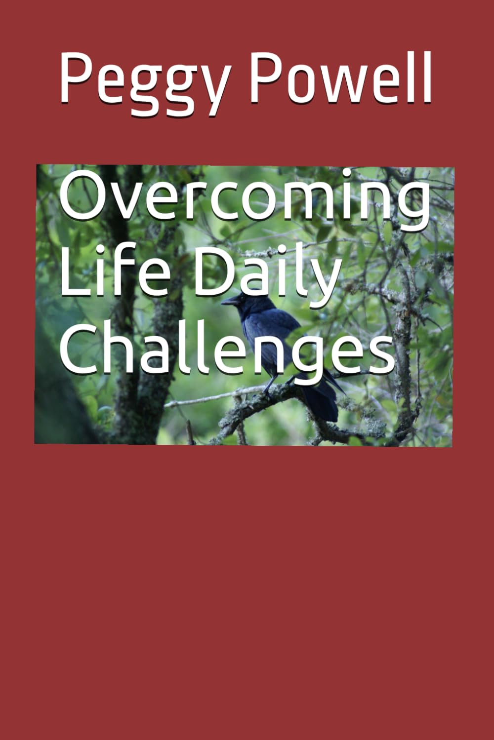 Overcoming Life Daily Challenges