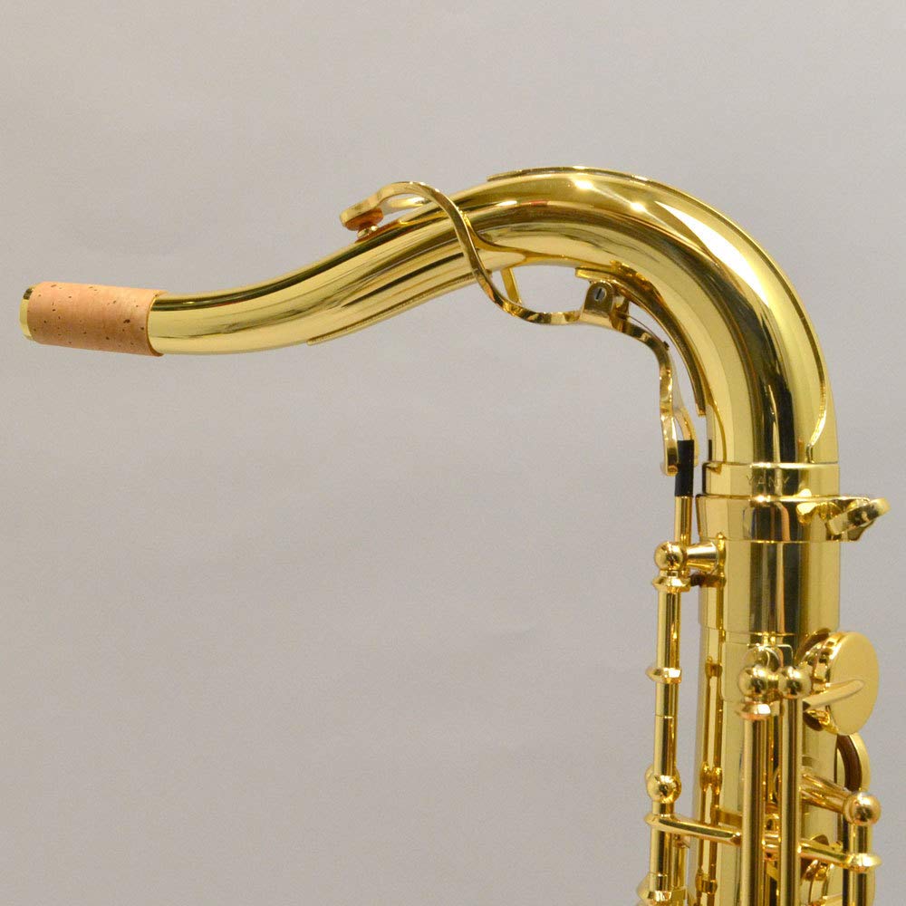 Amazon.co.jp: YANAGISAWA T-WO10 テナーサックス ブラス製 ヘヴィー