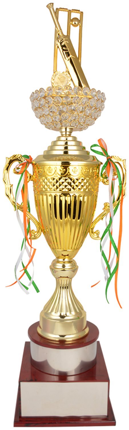 TROPHY JUNCTION Metallic Fiber Trophy, Gold