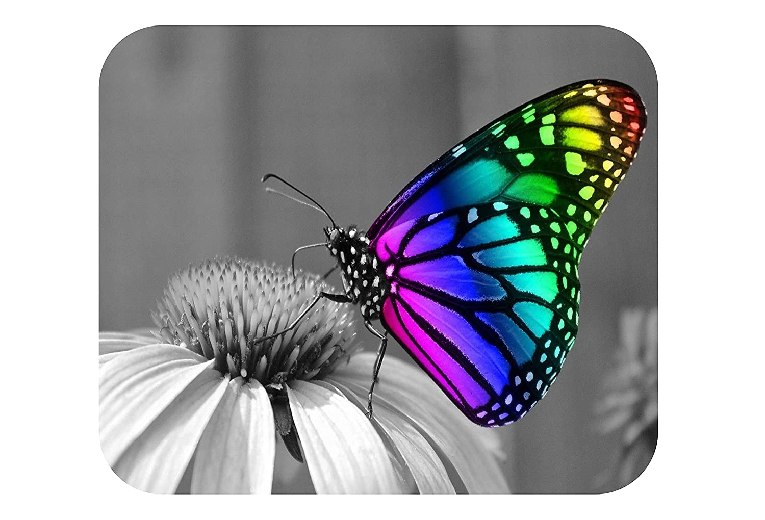 ZORI Butterfly Gaming Mouse PAD for Computer, PC and Laptop (MP422_Butterfly_Rainbow)