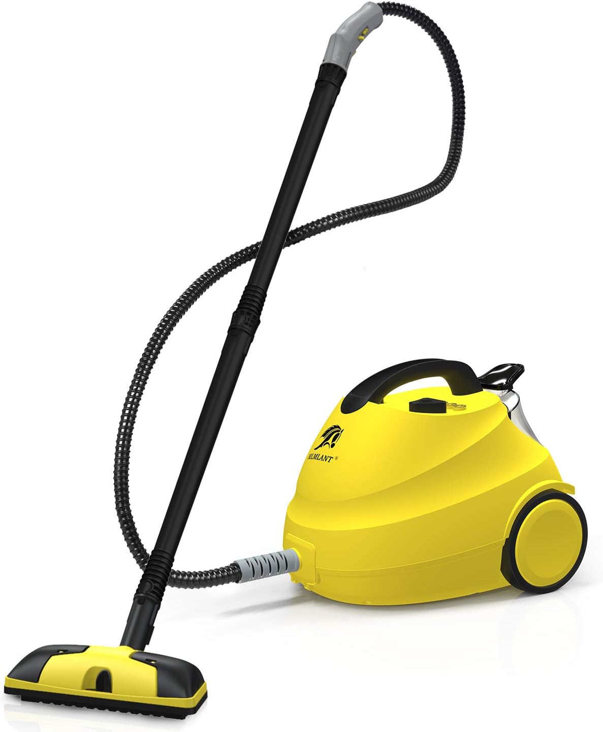 pulitori a vapore per la casa