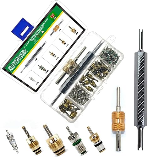 BIHYNGAIR Kit de 52 núcleos de válvula de aire acondicionado de automóvil, núcleo de válvula Schrader AC, R12 R134a, vástago de válvula de neumático