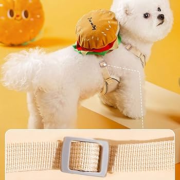 ❣️ペットリード 小型犬用 長さ調整可能 おしゃれ かわいい 通気 S Amazon | ペットリード 小型犬用 長さ調整可能 おしゃれ