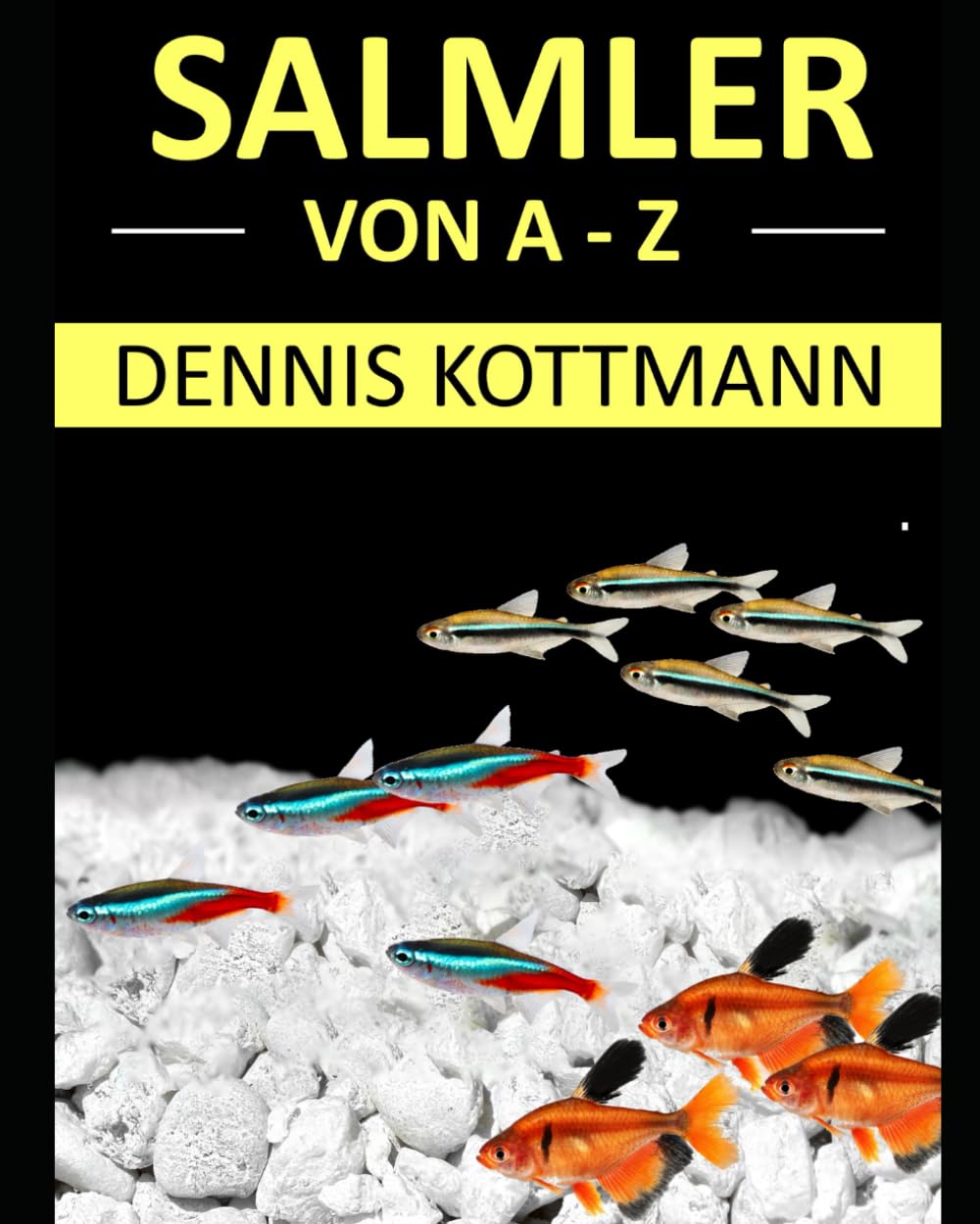 Salmler von A-Z: Alles rund um Salmler im Aquarium