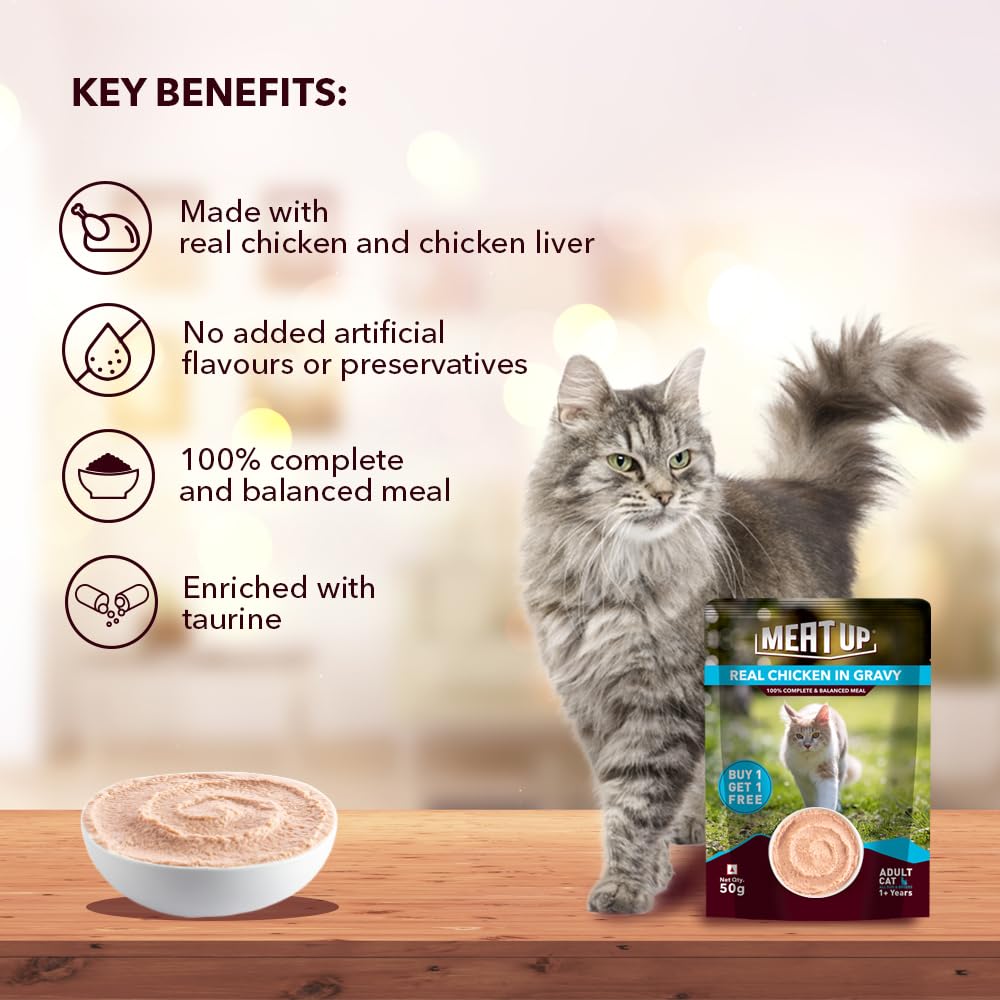 Meat Up Adult Cat Wet Food 16 Pouches × 50g, Total 800g | Real Chicken in Gravy | Supports Heart & Vision Health | Healthy Skin & Coat | Natural Flavours | Organic Minerals & Vitamins 1