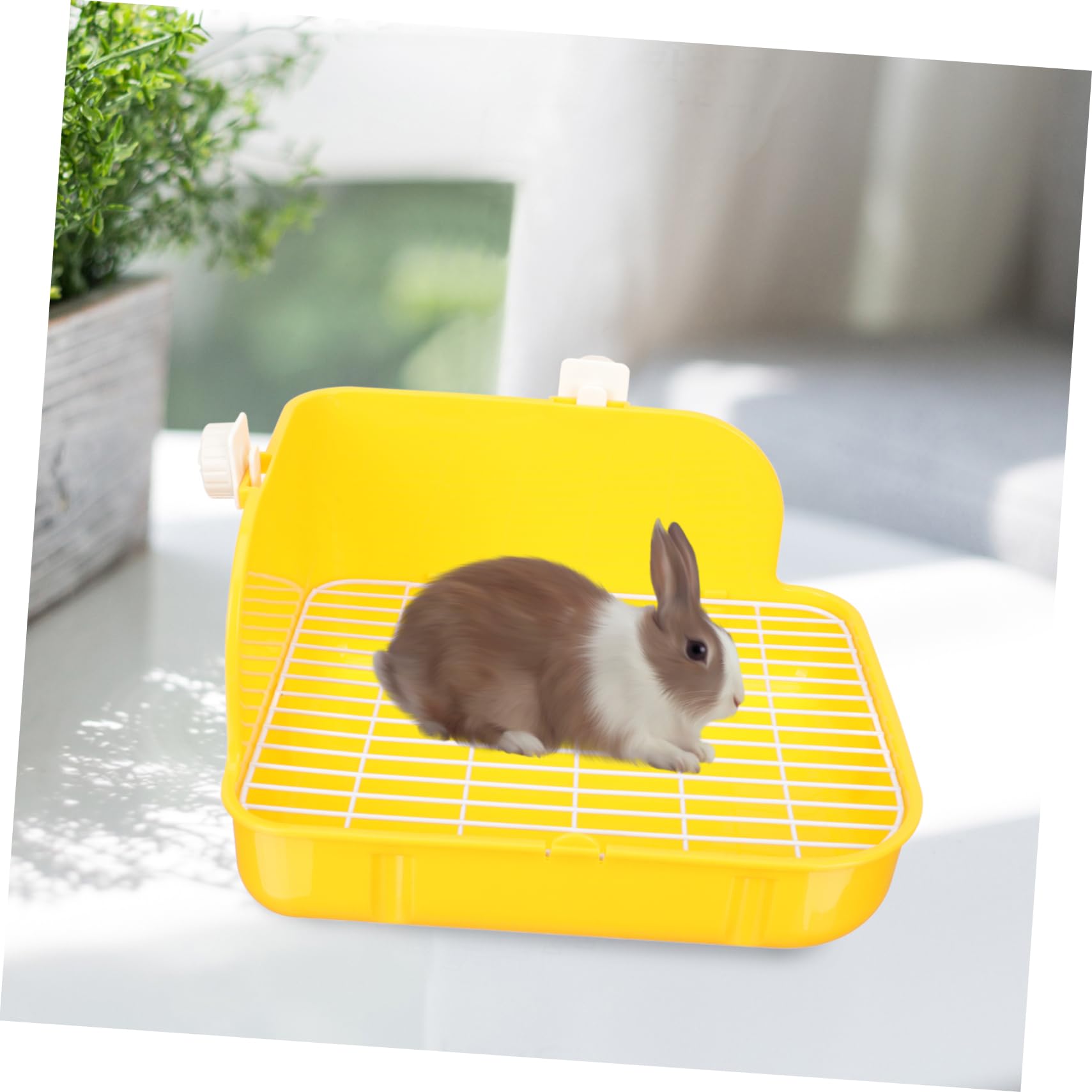BESPORTBLE Toilette per Conigli Plastica Gialla Resistente Usabile in Giardino per Conigli Nano e Cincillà