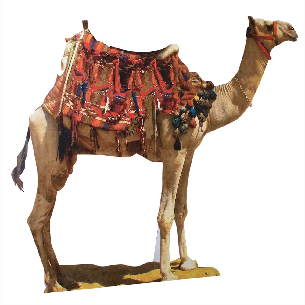 Anderson's Standing Decorated Camel – Life-Size Cardboard Cutout for Prom, Homecoming, Nativity, School Plays, Parades, Festivals, Museum Displays, and Themed Events – 7' x 8' x 9"