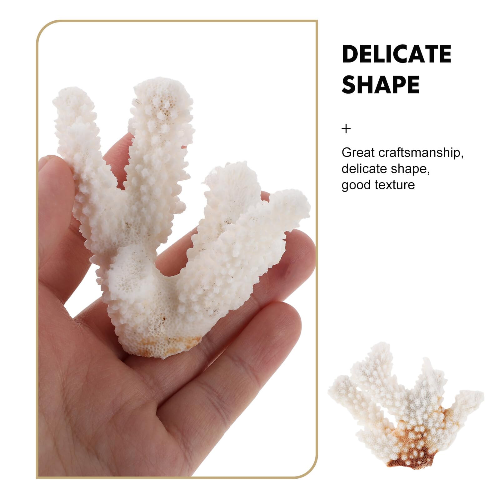 Echter Korallenast Aquarium Dekoration 200g Naturkoralle Riffgestaltung Unterwasser Deko Aquarien Ornament