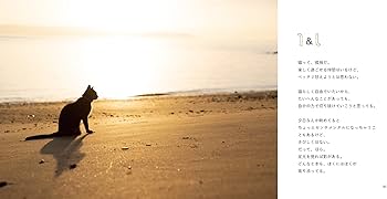 よりそい猫 今日も明日もいっしょ | 沖 昌之 |本 | 通販 | Amazon