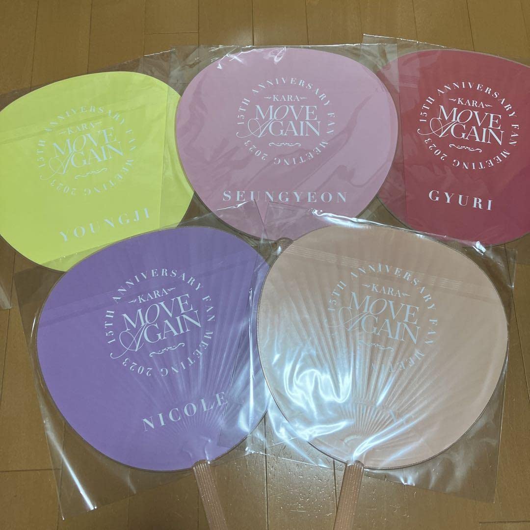 Amazon.co.jp: KARA カラ グッズ ファンミーティング BIG うちわ