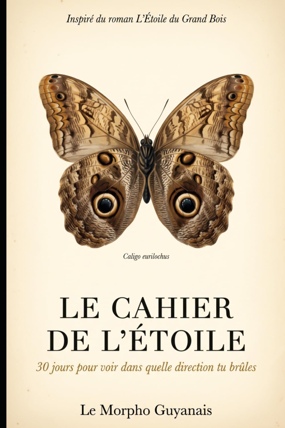 LE CAHIER DE L’ÉTOILE: 30 jours pour voir dans quelle direction tu brûles