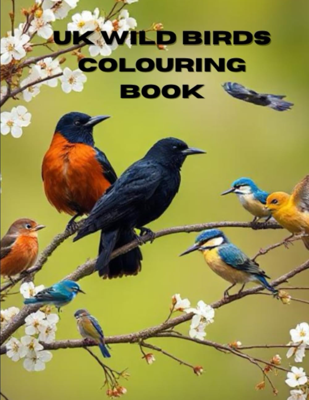 UK Wild Birds Colouring Book