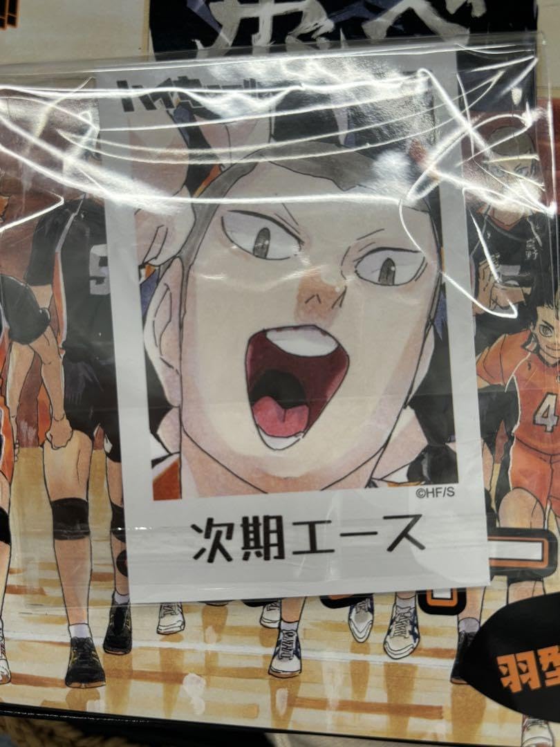 Amazon.co.jp: ハイキュー 烏野羽クッキー 両面カラーカード 西谷 田中
