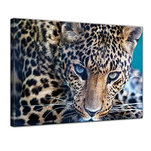 Bilderdepot24 Impression d'art - Léopard - Portrait - 80x60 cm - Image sur Toile - Mondes animales - Grand félin - Animal prédateur - Gros Plan d'un léopard