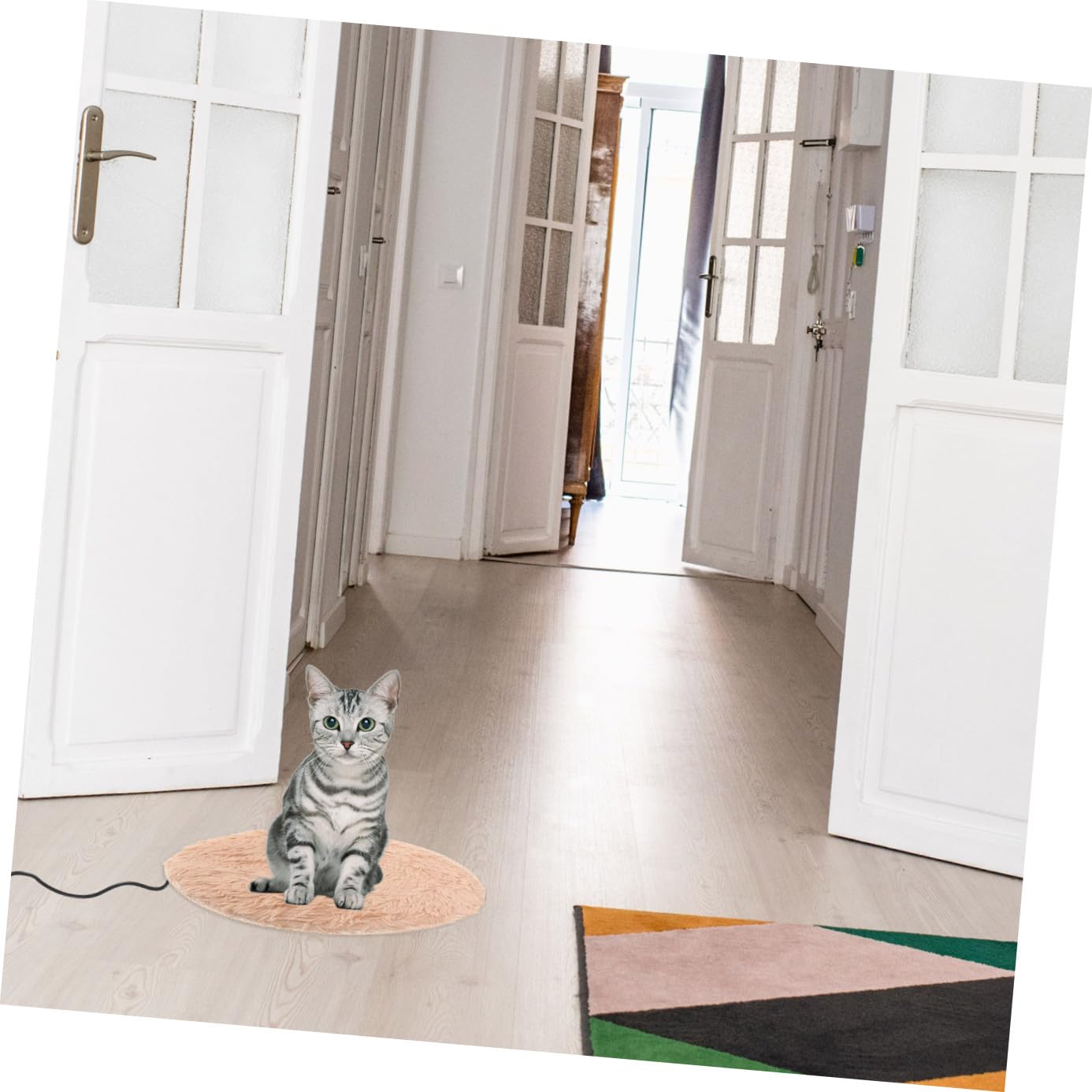 Mipcase 3stücke USB Heizkissen Für Katzen Und Hunde Temperaturregulierend Weiche Und Bequeme Wärmematte Für Ältere Und Kranke Haustiere Leicht Zu Reinigen