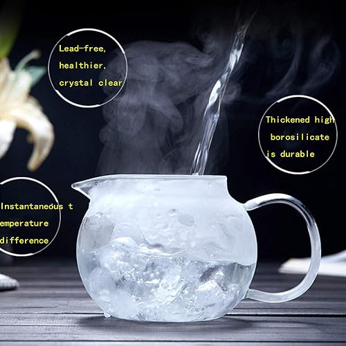 Miniatura 4 de Tetera de vidrio grueso sin plomo  Infusor de acero inoxidable extraíble  Gran cafetera de té de hojas sueltas y florecientes, espesada (33 oz