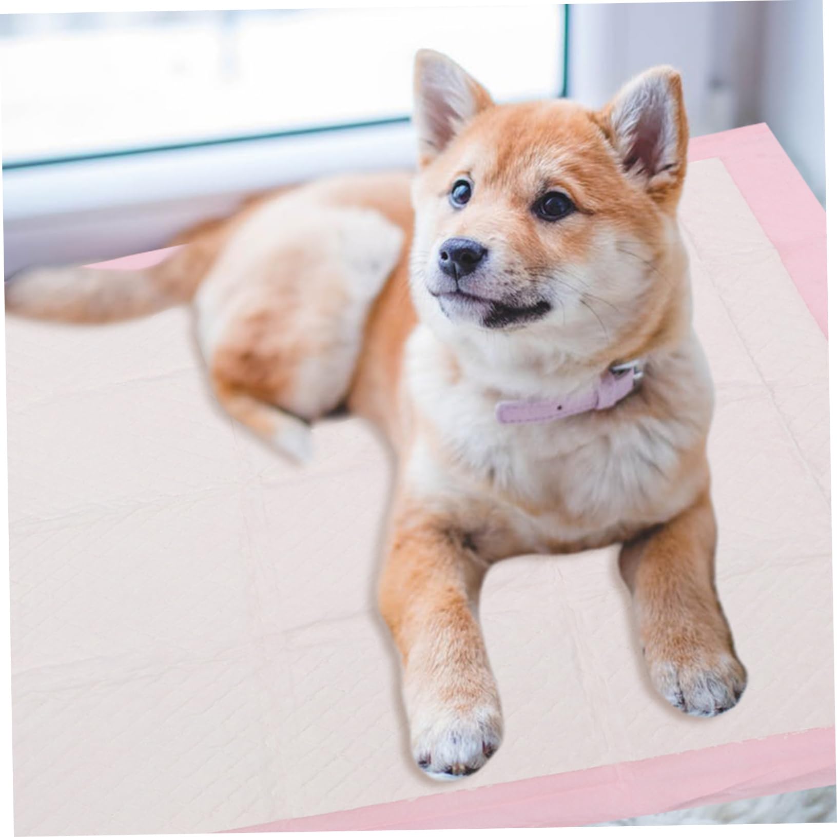 Happyyami 40 Stück Rosa Hundetrainingsunterlagen für Hunde 60cm X 60cm Wasserabsorbierend und Saugstark für Ältere Hunde und Training