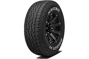 Nexen Roadian AT Pro RA8 Tire for Trucks: 30X9.50R15 Size