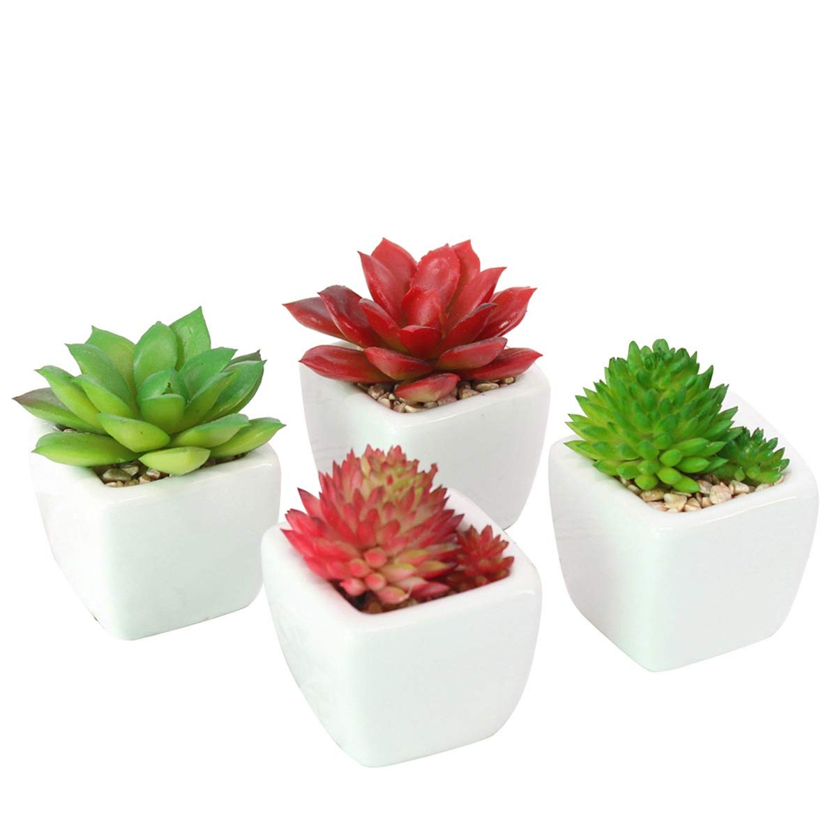Emsa m5261900 Click & Grow Smart Garden 3 Jardín de Interior ...
