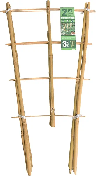Sprigra Bamboo Trellis 2FT 3 Pack, Plant Ladder Stakes 24 Inches, Natural Fan-Shaped Bamboo Trellis for Orchid Vines, Monarchs, Ivy and Other Plants Climbing, Help Plant Growth
