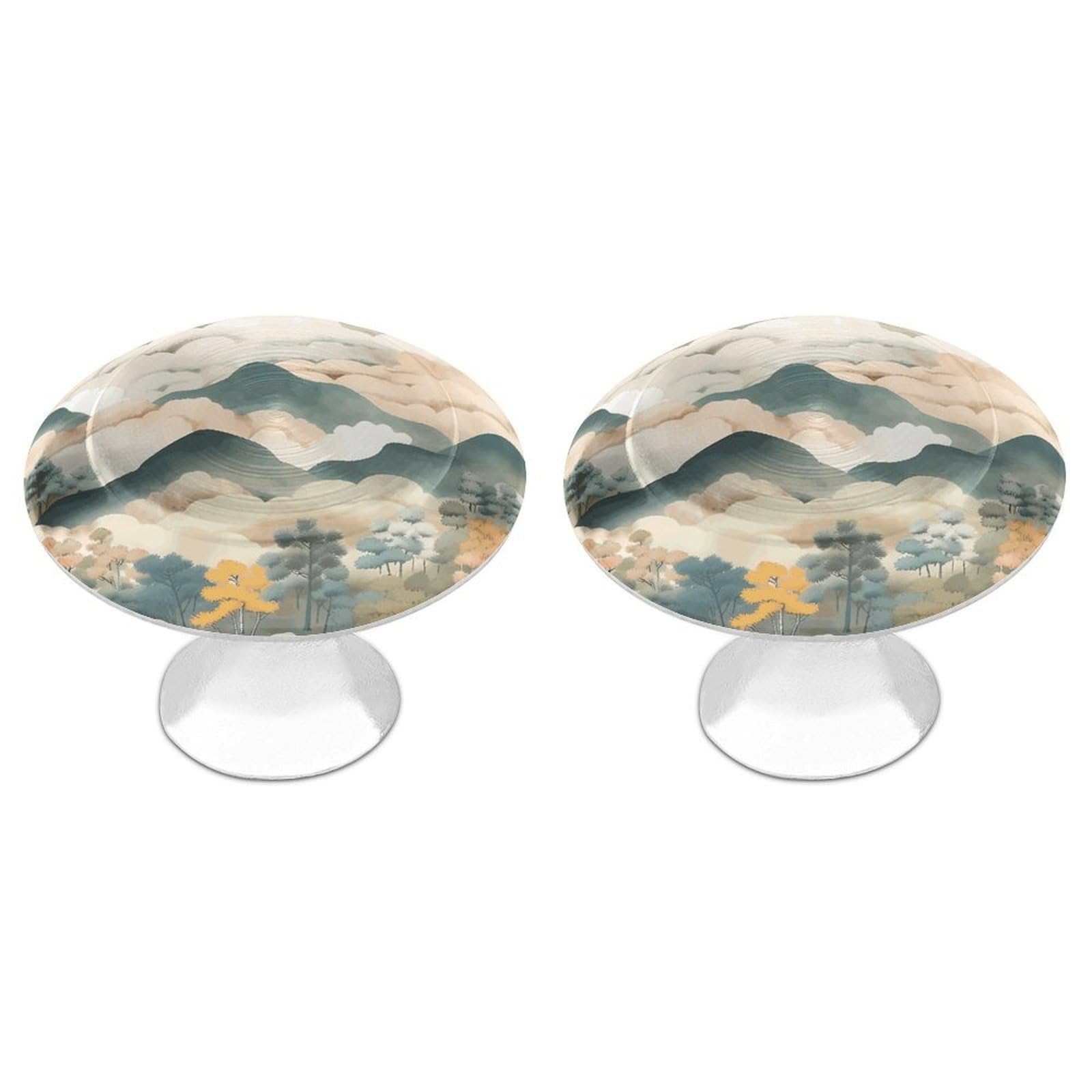 BTCOWZRV Hand Drawn Diagram 2 Pack Cabinet Knobs Drawer Pulls