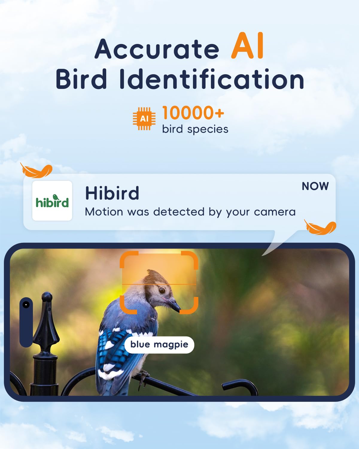 Hibird - Telecamera per bird watching 5G, intelligenza artificiale intelligente per identificare e catturare automaticamente oltre 10000 specie di uccelli, IP66, mini telecamera wireless con pannello