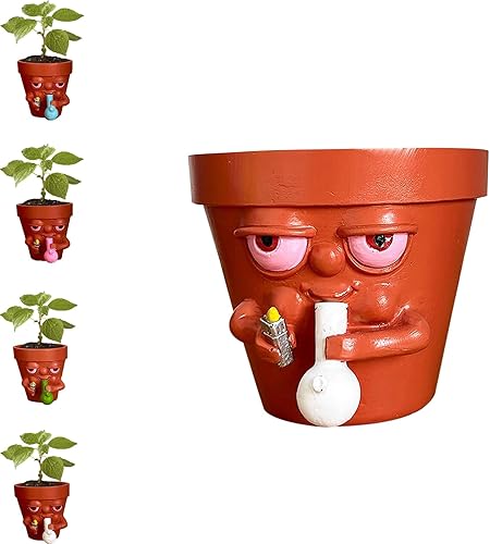MagicXflow Divertida maceta para suculentas plantas de interior, maceta personalizada, maceta creativa con tubo y encendedor, flor de cara suculenta