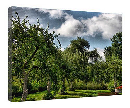 Tableau arbres fruitiers sur toile haut de gamme avec cadre en bois massif