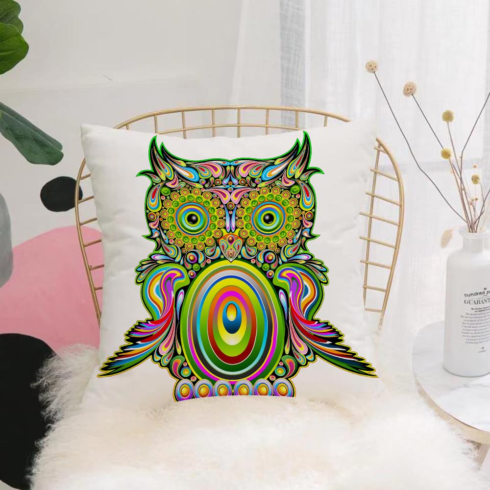HYOSXW Cushion Cover,Throw Pillow Case Home Decorative for Living Room Bedroom Sofa Chair 16X16 Inch,Owls, ornate colorful owl with ethnic elements legend,Pillowcase 40X40cm