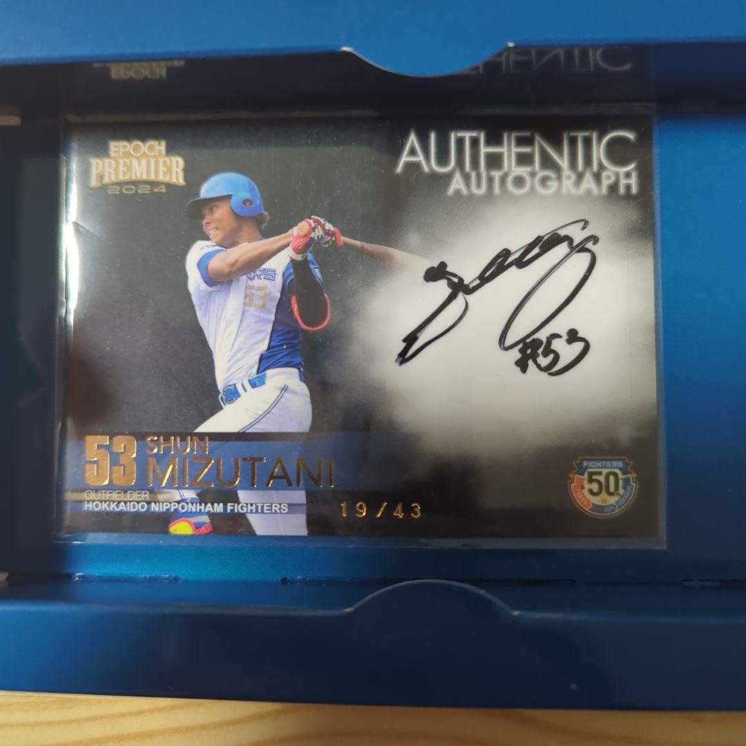 北海道日本ハムファイターズ 水谷瞬 直筆サイン キャンバスアート 北海道日本ハムファイターズ 水谷瞬 直筆サイン キャンバス