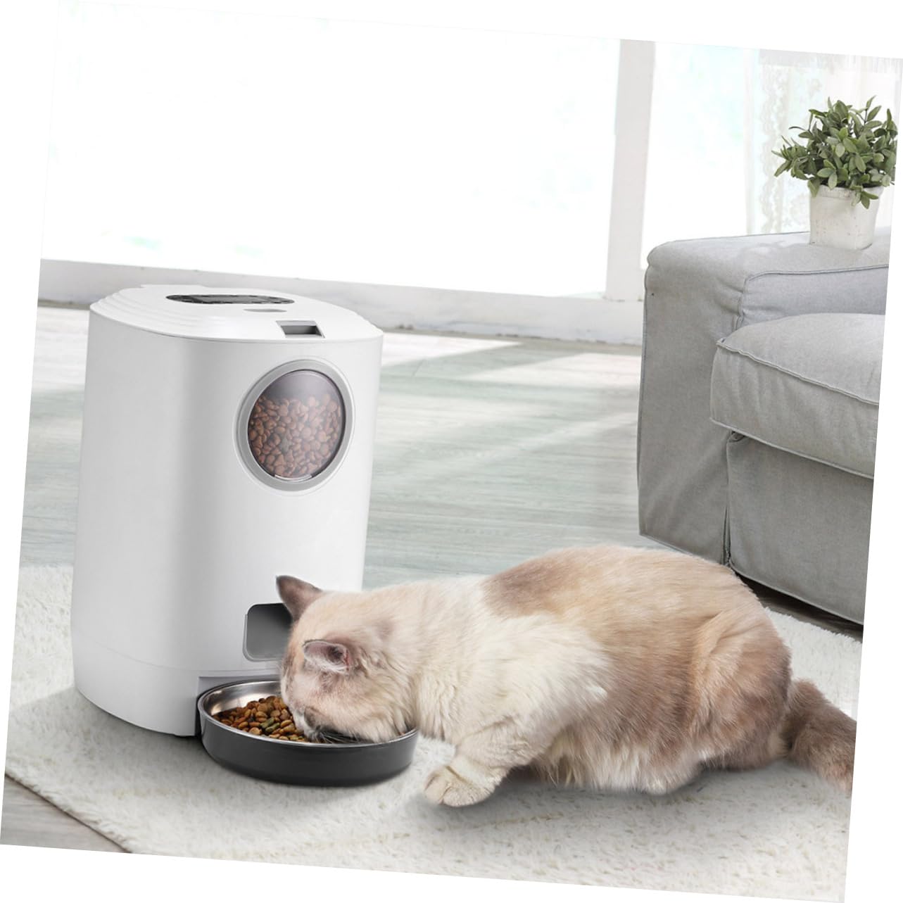 FRCOLOR 1pezzi Alimentatore Automatico Per Cani e Gatti Con Timer e Registrazione Personalizzata Dispenser Intelligente Per Cibo Secco Facile Da Pulire e Memoria Funzione