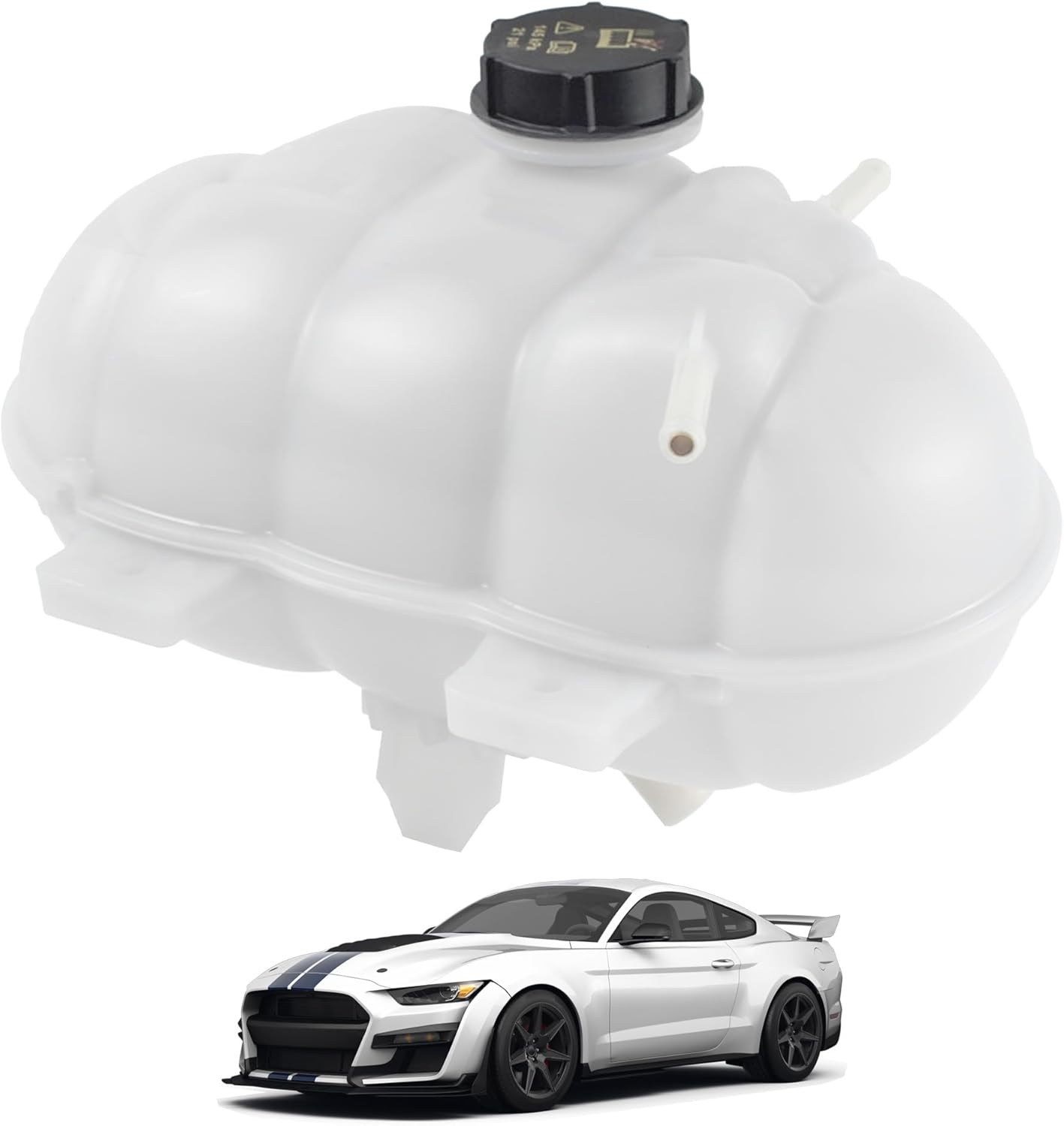 Engine Radiator Coolant Reservoir Expansion Tank Overflow Bottle W/Cap Compatible with 2015-2023 Ford Mustang Replaces 603-285 603285 DG9Z8100A FR3Z8A080A