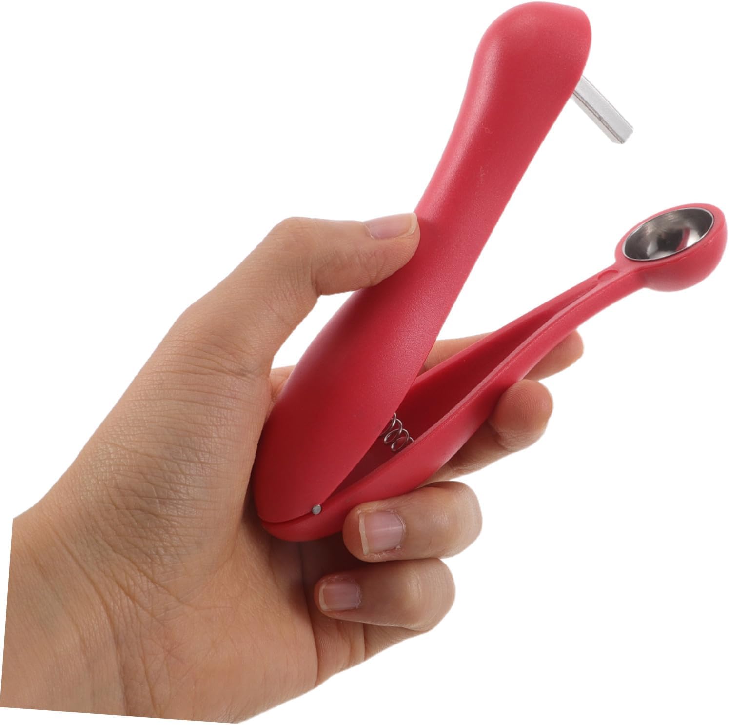 Red Dates Corer Jujube Seed Pitter Fruit Core Remover Tool