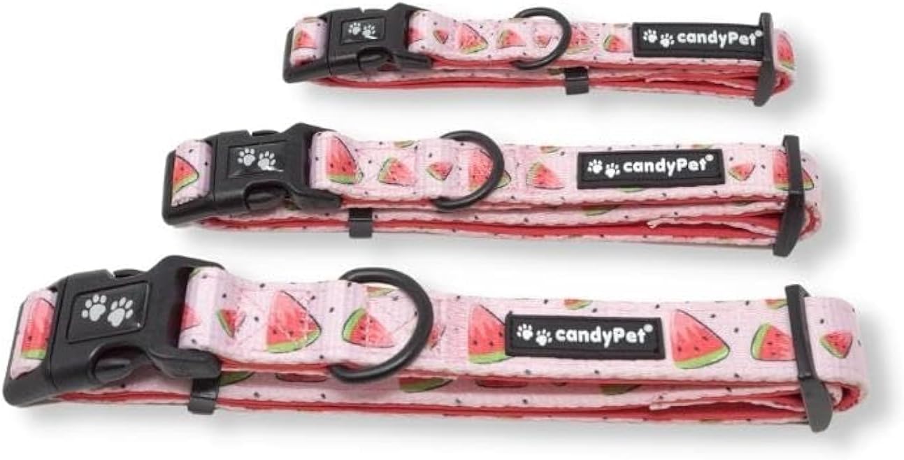 Adjustable Click Nylon Collar, Neoprene padded interior, CANDYBERRY, L