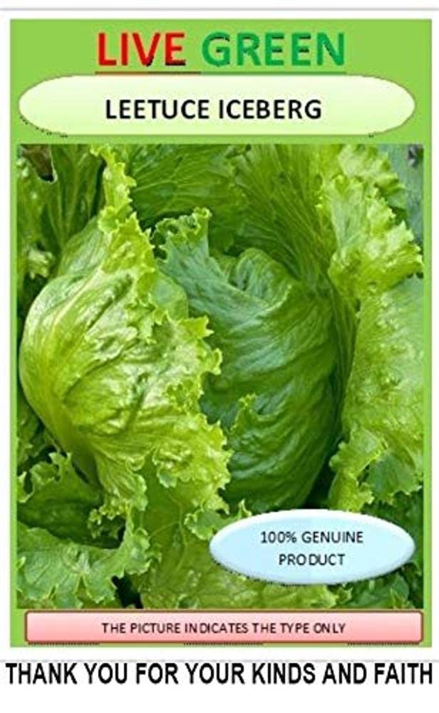 LIVE GREEN Iceberg Lettuce Organic F1 Hybrid Germination Vegetable Seeds (LG-SSED17) (B07SMT1YMC) Amazon Price History, Amazon Price Tracker