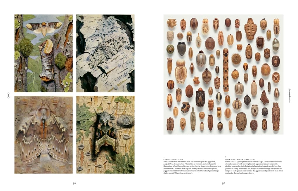 Ark: A visual treasury of Earth's living wonders