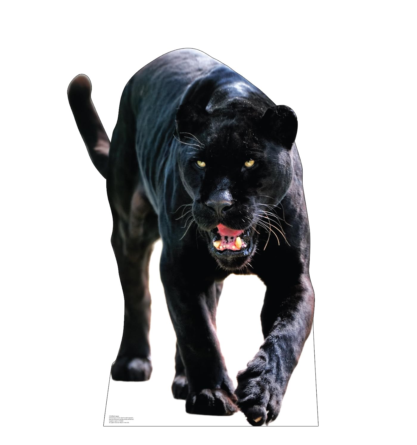 Cardboard People Black Jaguar Life Size Cardboard Cutout Standup - Made in USA