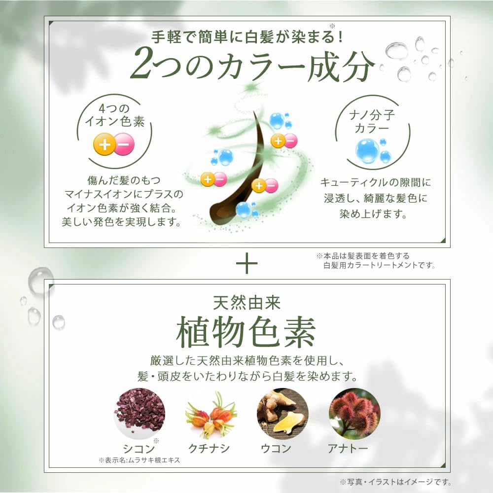 Amazon | Sastty (サスティ) 【白髪用】利尻ヘアカラートリートメント