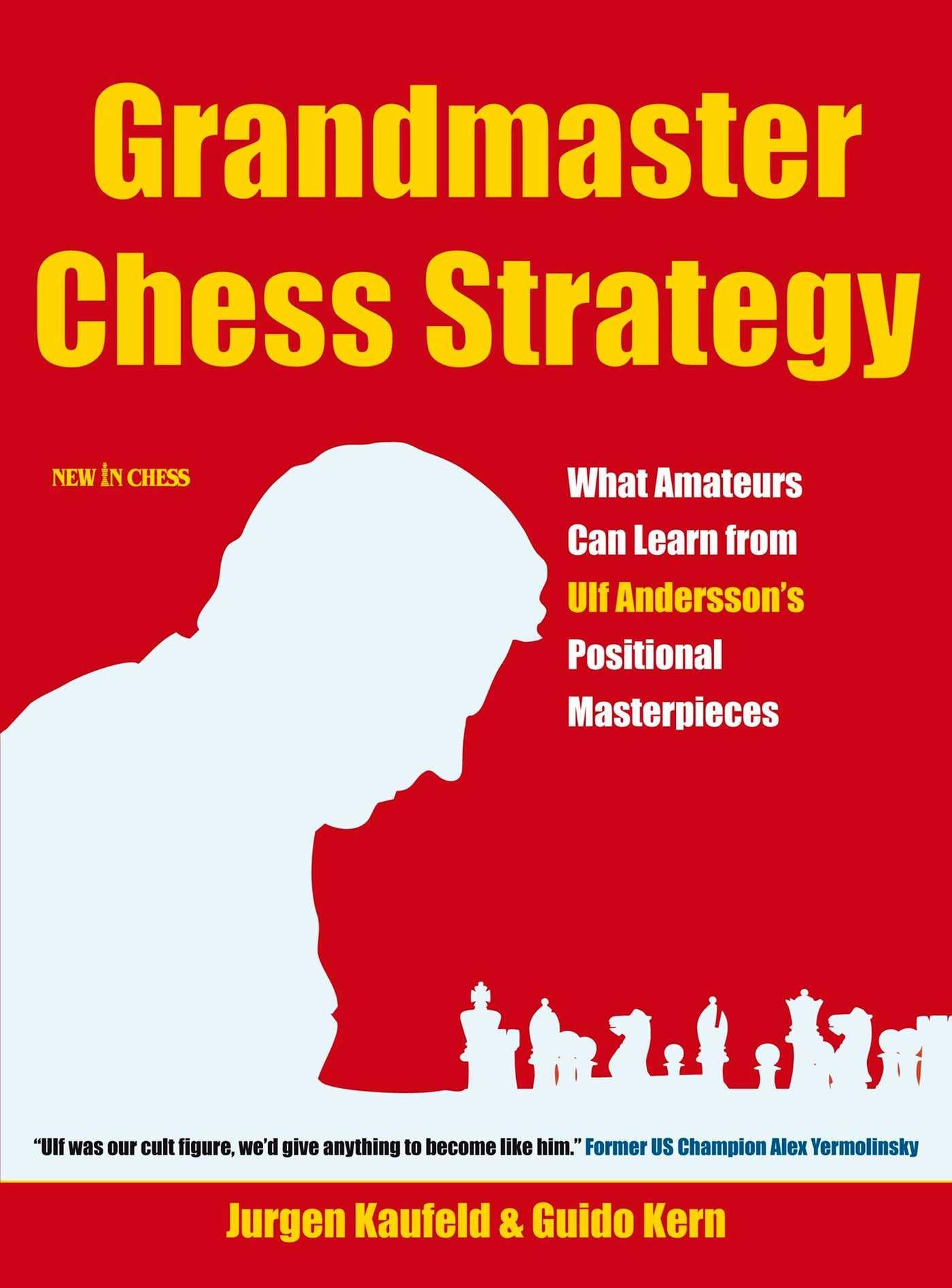 Grandmaster Chess Strategy: What Amateurs Can Learn from Ulf Andersson's Positional Masterpieces (English Edition)