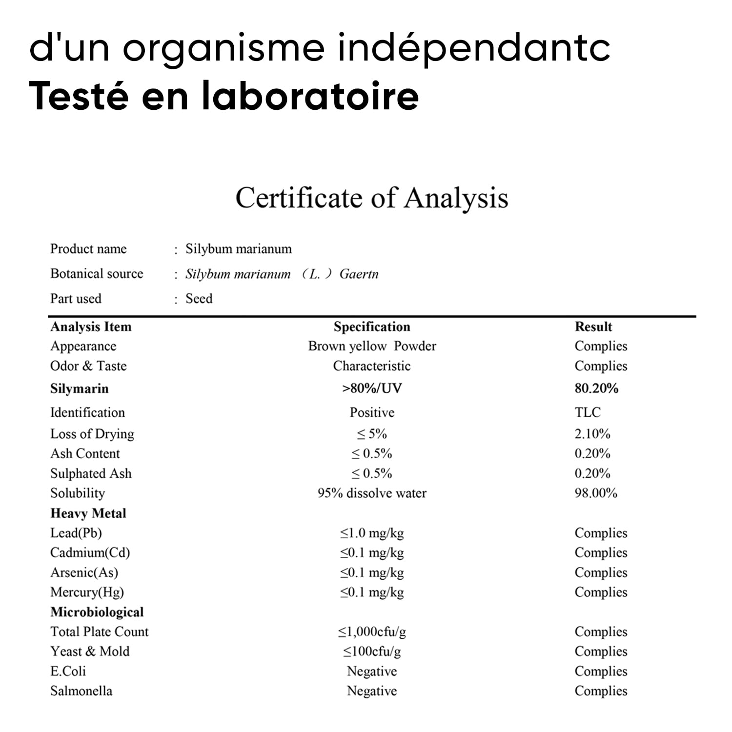 Chardon-Marie 240 Gélules avec Extrait à 80% de Silymarine Artichaut et Pissenlit Pilulier Inclus Réserve de 8 Mois 100% Végan Formule Pure Qualité Contrôlée