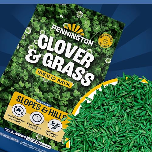 Mini Clover Lawn Seed Blends For Soil Improvement