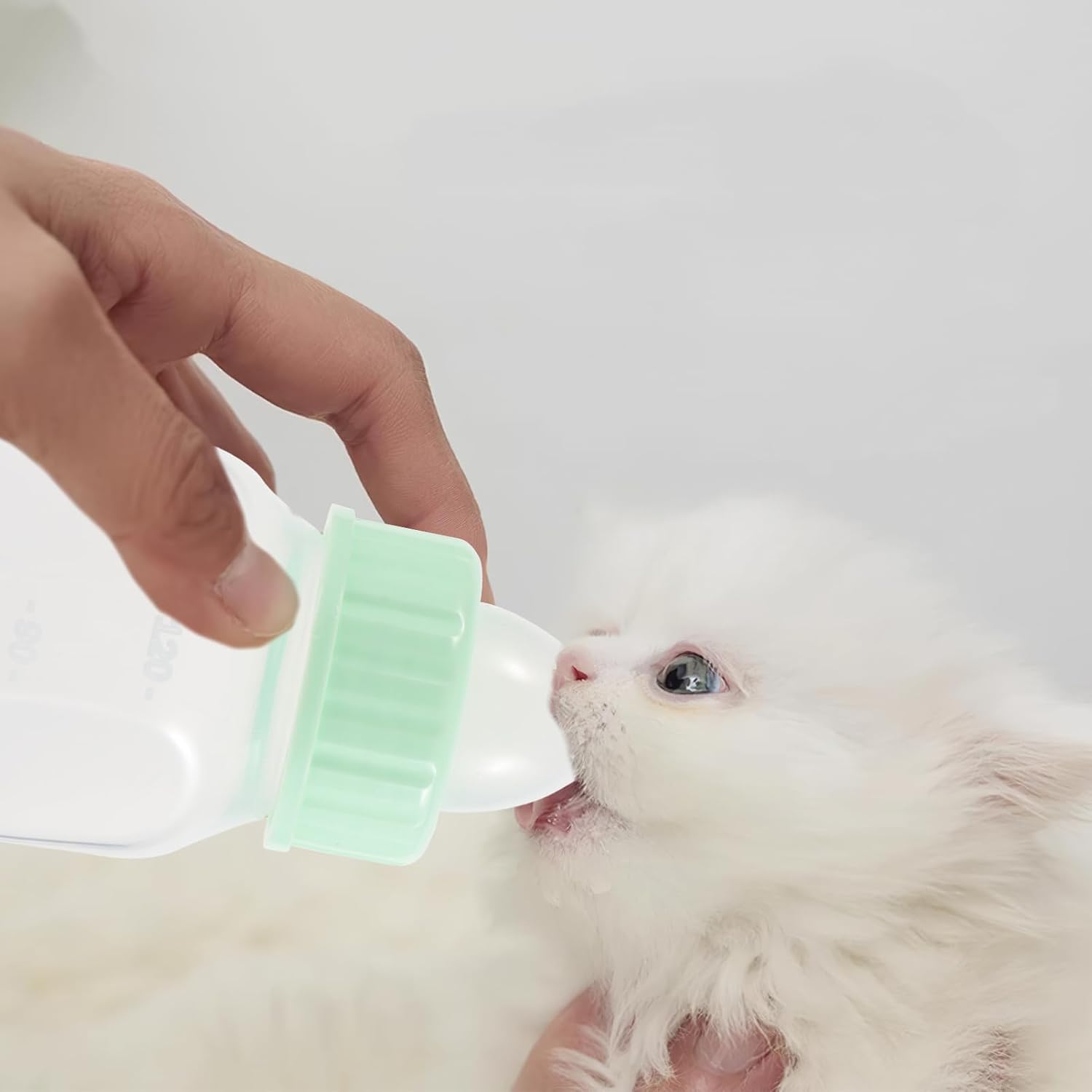 BESPORTBLE Pet Feeder Bottle for Nursing Puppy Milk Feeder Cat Feeding Bottles Pet Accessories